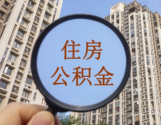启东退休后查不到公积金明细了吗（退休后公积金查询不到原因）